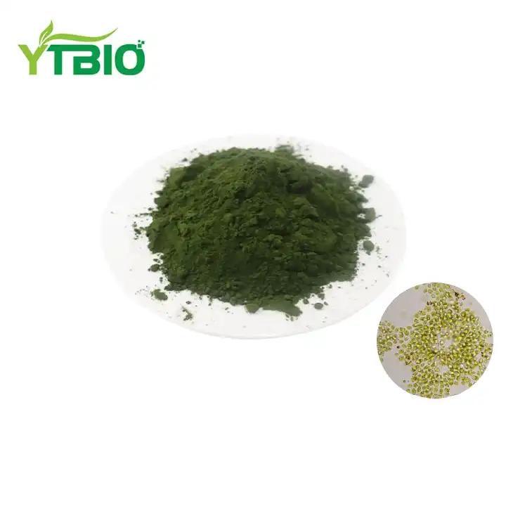 Bulk Chlorella Powder